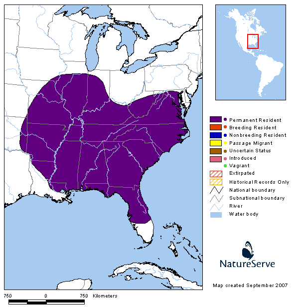 Tennessee Watchable Wildlife Southeastern Shrew