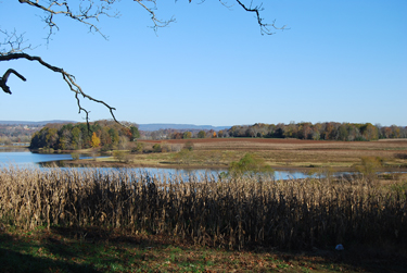 Tennessee Watchable Wildlife | Hiwassee Refuge