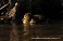 Tennessee's Watchable Wildlife